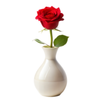 soltero rojo Rosa en un blanco florero con transparente antecedentes png