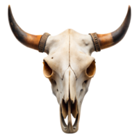 Bull Skull With Large Horns on Transparent Background png