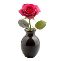 Single Red Rose in a Black Vase With a Transparent Background png
