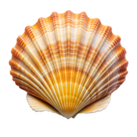 Detailed Close-Up of a Scallop Shell With Natural Orange Hues Against a Transparent Background png