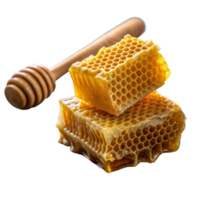 Nahansicht von golden Bienenwabe und hölzern Schöpflöffel auf transparent Hintergrund png
