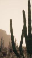 raggio di sole che spara attraverso il cielo del deserto al tramonto video