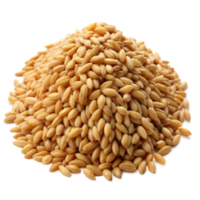 Haufen von ungekocht braun Reis Körner isoliert auf transparent Hintergrund png