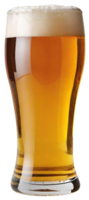 bicchiere di fresco birra png