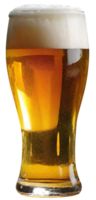 Glass of fresh beer png