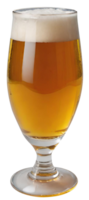 Glass of fresh beer png