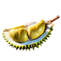 Fresh Durian Fruit png