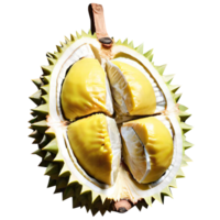 frische Durianfrucht png