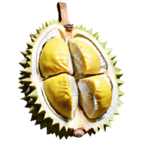 fruta durian fresca png