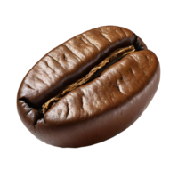Illustration of coffee bean png