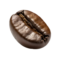Realistic coffee bean png