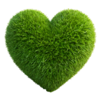 ilustração do verde gramado dentro a forma do uma coração png