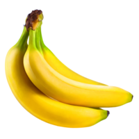 illustration av färsk banan png