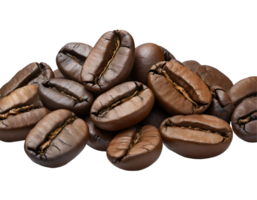 Close up illustration of coffee beans png
