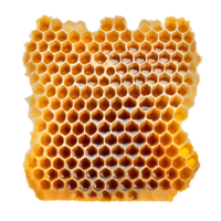 Illustration of honeycomb png