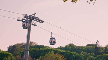 Gondolas hovering above lush forest video