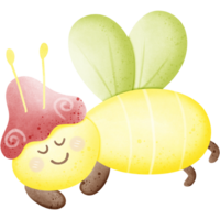 Cute fireflies watercolor isolated on transparent background png