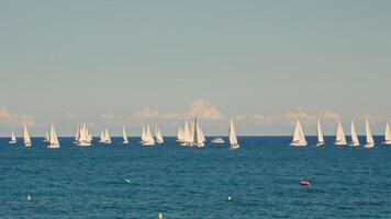 Group of sailboats sailing on large body of water video