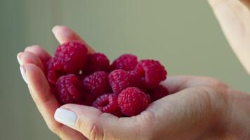 Woman holding raspberries in hands video