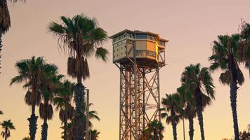 torre con reloj rodeado por palma arboles video