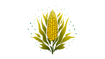 Fresh corn on the cob, Cartoon kernels maize. Green corncob with leaf, ear golden corn, grain sweetcorn, cob vegetable plant, white seed popcorn, Ear of corn png