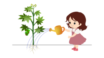 Young girl watering plants, Cute funny young woman with watering can taking care, Happy woman watering plants in garden, Watering can on the garden, eco green png