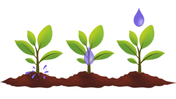 young plant growing up on ground with raining drop, Save the world environment concept, drop of water, plants growing up on ground with raining drop save world, Emerging Life and Vital Growth png