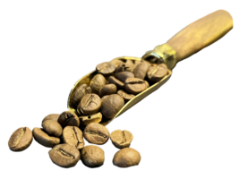grãos de café espalhados png