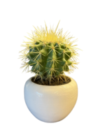 Simple Cactus Pot png