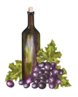 Watercolor illustration of a vintage glass bottle of wine and grapes on a white background, hand drawn illustration. png