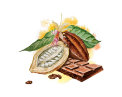 Aquarell Illustration von Schokolade, Kakao Zutaten mit Kakao Bohnen, frisch Kakao Schoten und Kakao Masse. png