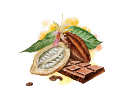 Watercolor illustration of chocolate, cocoa ingredients with cocoa beans, fresh cocoa pods and cocoa mass. png