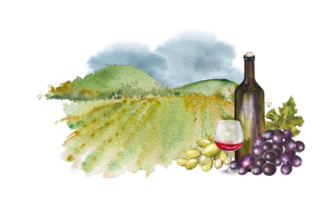 en flaska av vin, en glas och vindruvor mot en bakgrund av fält och berg. vattenfärg illustrationer för kort, scrapbooking. hand dragen vattenfärg illustration. vin årgång bakgrund png