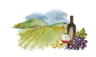 une bouteille de vin, une verre et les raisins contre une Contexte de des champs et montagnes. aquarelle des illustrations pour cartes, scrapbooking. main tiré aquarelle illustration. du vin ancien Contexte png