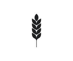 trigo, grano, icono. ilustración. vector