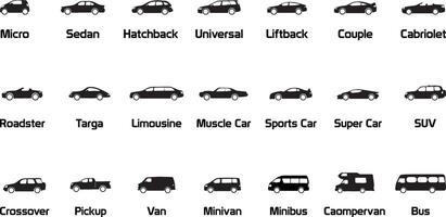 Set, Collection of Car Types Illustration Set - Bundle vector