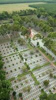 antenne visie van oorlog begraafplaats in cu chi, Vietnam. video