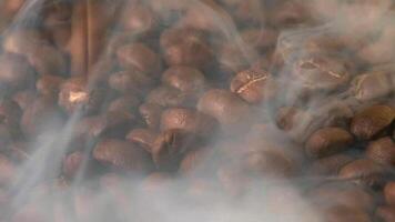 lento macion de asado café frijoles con fumar. orgánico café semillas video