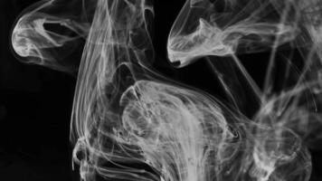 fumée illustration abstrait Contexte avec noir et blanc Couleur video