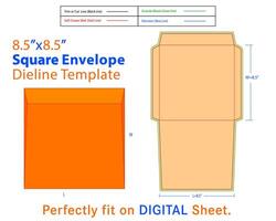 cuadrado sobre w 8.5, l 8.5 pulgadas dieline modelo vector