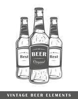 Beer bottles isolated on white background vector
