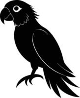 Black parrot silhouette on white background illustration vector