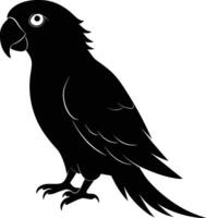 Black parrot silhouette on white background illustration vector