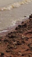 lento movimiento, mar olas golpear el apuntalar video