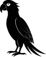 Black parrot silhouette on white background illustration vector