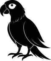 Black parrot silhouette on white background illustration vector