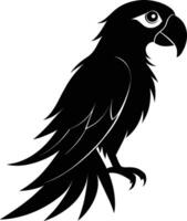 Black parrot silhouette on white background illustration vector