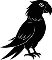 Black parrot silhouette on white background illustration vector