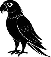 Black parrot silhouette on white background illustration vector