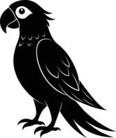 Black parrot silhouette on white background illustration vector